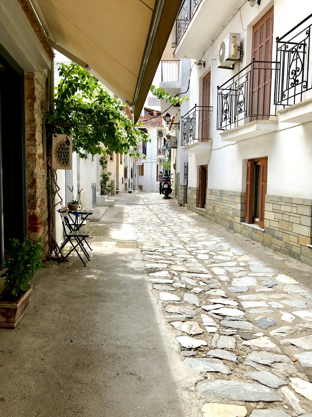 Paysage de Skiathos