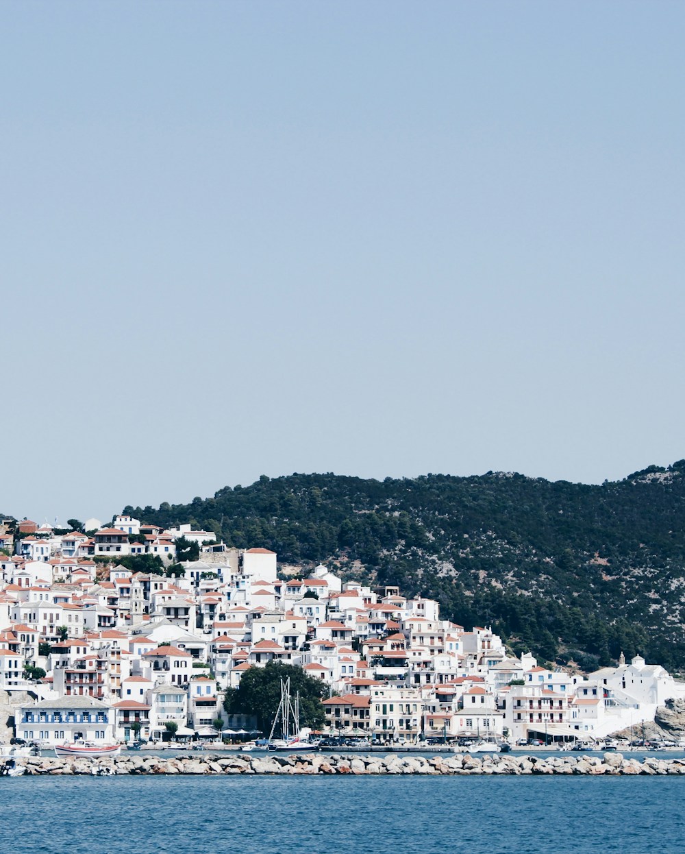 Paysage de Skopelos